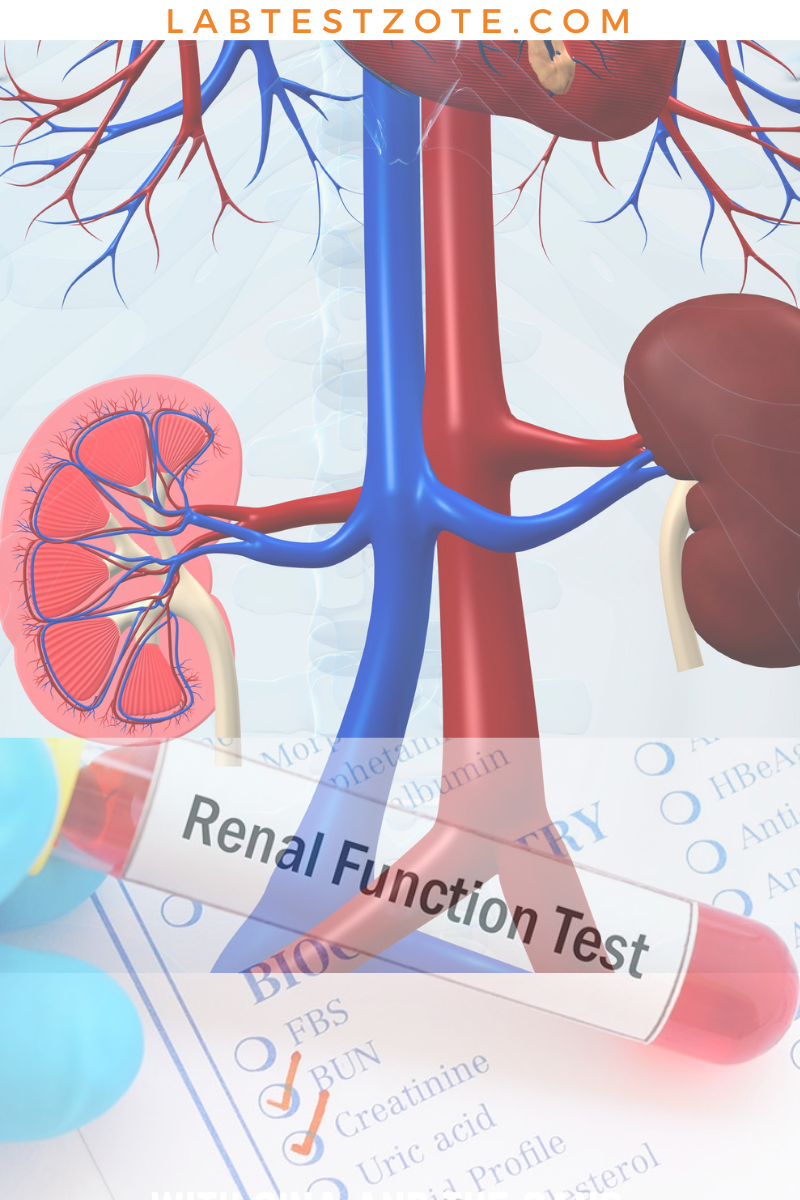 UECs, Kidney Function Tests