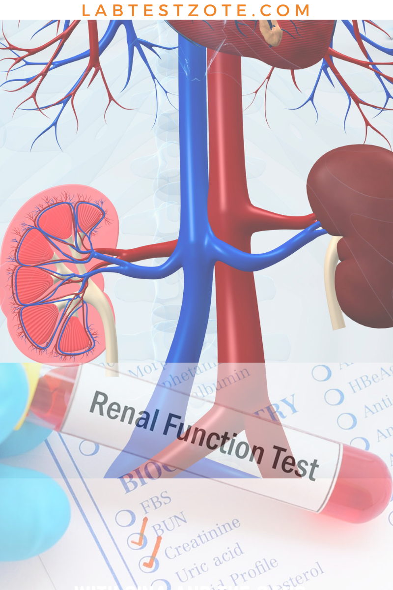 Kidney Function Tests What You Need To Know Labtestzote