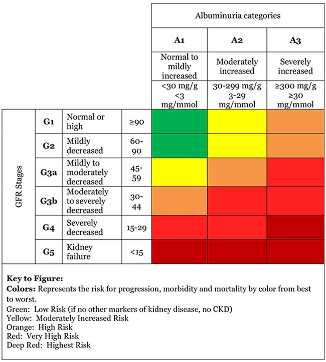 Risk of progression for kidney failure by UACR and eGFR